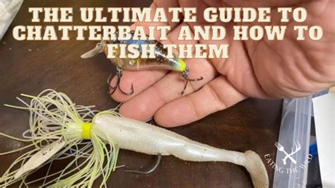 what is chaterbait|Chatterbait Fishing 101 (Complete Guide)